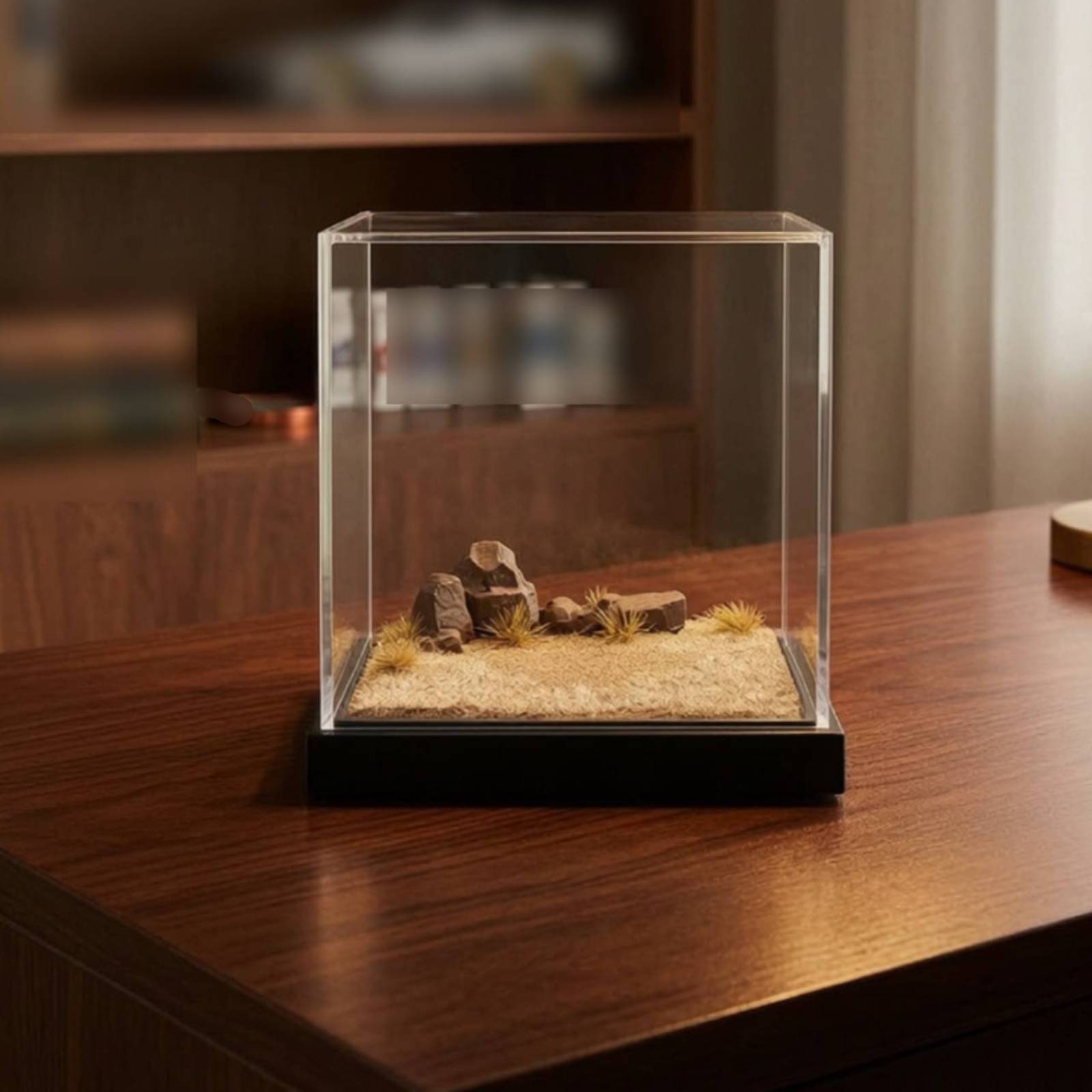 Display Case Acrylic - Miniature Scene Platform Clear Display Case
